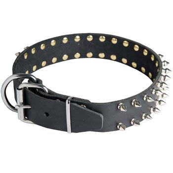 Spiked Leather Dog Collar for Dog Fashion Walking