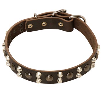 Leather Collar for Dog Stylish Walks