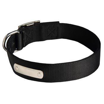 Nylon Dog Collar with Identification Tag