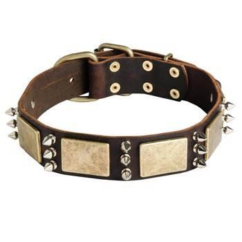 War-Style Leather Dog Collar for Dog