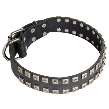 Leather Dog Collar Wide Strong Studded