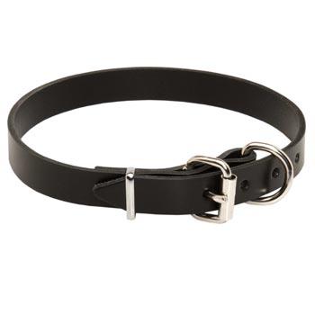 Dog Leather Collar For Everyday Training