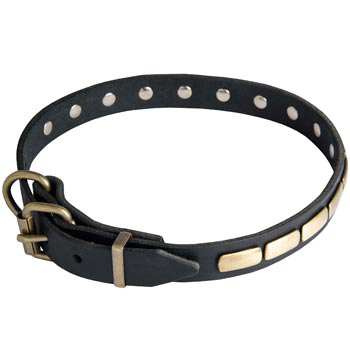Dog Leather Collar with Brass Buckle 