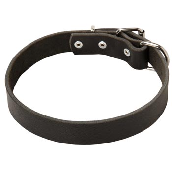 Leather Dog Collar Simple Design 