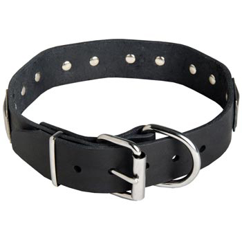 Leather Dog Collar with Steel Nickel Plated Buckle and D-ring