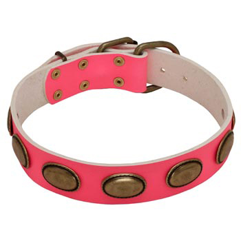 Pink Leather Dog Collar for Female Dogs