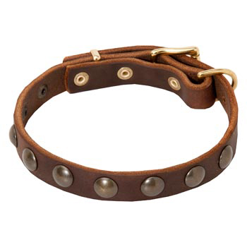 Leather Dog Collar with Studs