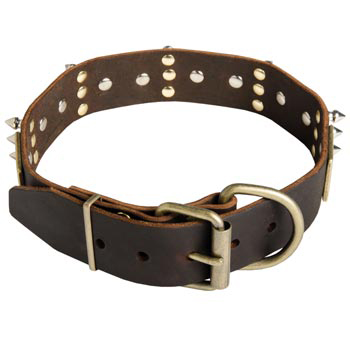 Spiked Leather Dog Collar