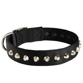 Walking Nylon 
Dog Collar Nickel Studded Waterproof