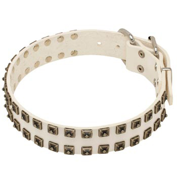 Studded White Leather Dog Collar for Dog