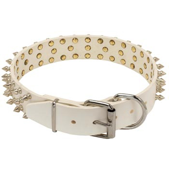 Spiked Leather Dog Collar