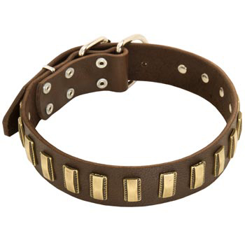 Leather Dog Collar with Adornment for Dog