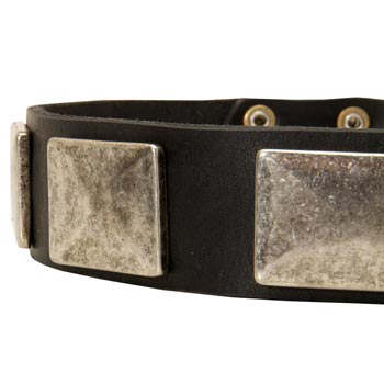 Wide Leather Dog Collar for Walking
