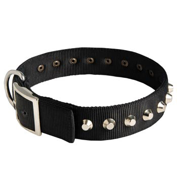 Nylon Buckle Dog Collar Wide with Studs for 
Dog
