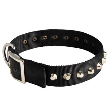 Nylon Buckle Dog Collar Wide with Studs for 
Dog