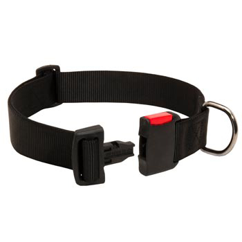 Reliable Nylon Dog Collar