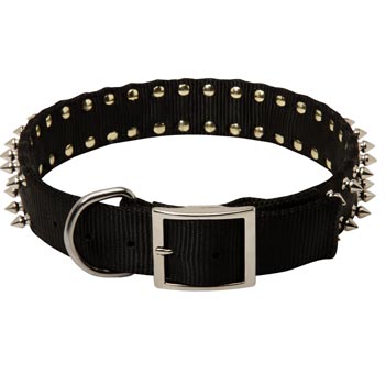 Dog Wide Dog Nylon Collar Spiked