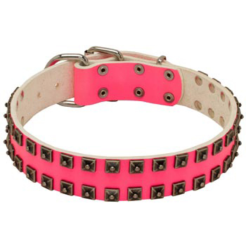 Studded Pink Leather Collar for Dog She-Dogs