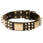 Spiked Leather Dog Collar with Plates and Cones