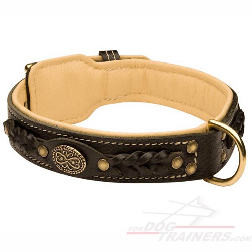 Dog Leather Collar Braided