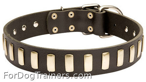 Fancy Leather Dog Collar with Brass Plates