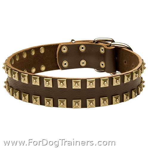 2 Rows Brass Studded Leather Dog Collar for Walking and Training