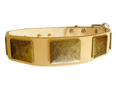 Handcrafted Leather Dog Collar With Vintage Massive Plates - Click Image to Close