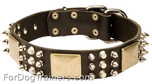 Spiked Leather Dog Collar with Plates and Cones