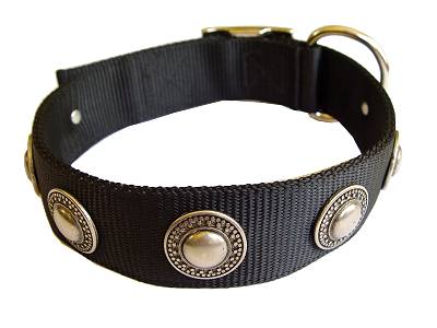 Nylon Dog Collar with Circles Decoration